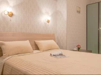 Apartments Dom so Lvami na Nevskom prospekte 3*