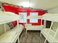 Cinema Hostel 3*
