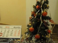 Alexandria Plus Mini hotel 3*