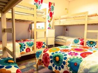 Fox House hostel 3*