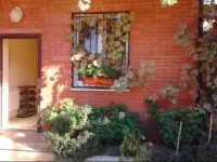 on Fabritsius Gostevoy Dom 5*