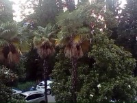 Kurortny 75 Appartment 5*