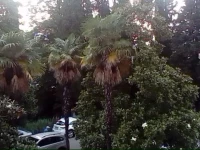 Kurortny 75 Appartment 5*