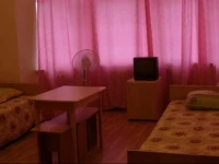 Staraya Russa Hostel 3*