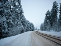 Romanovskaya Usadba 3*