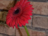 MalINNa Guest House 3*