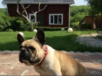 Bakhanovicha 34 Holiday Home 2*