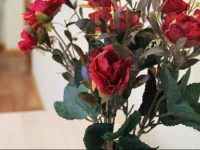 Apart - Petrolium Appartements 4*