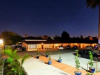 Auckland Phoenix Palm Motel