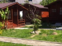 Cottages in Gagra 4*