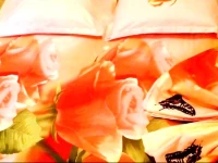 Gagra Guest House - Dbar 115 2*