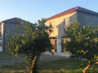 Leto land Guest House