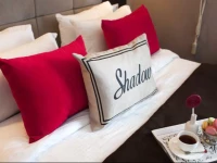Shadow Hotel 4*