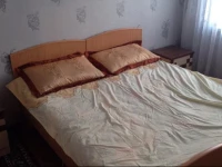 Apartment on Zhakipova Street