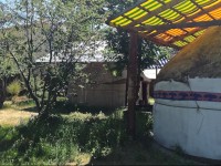Turkestan Yurt Camp