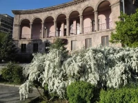 Villa des Roses Hotel 3*