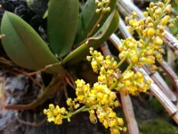 Terra Iguazu Apart Hotel