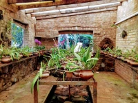 MyHotel Eco Lodge 3*