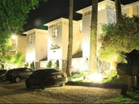 Arbol del Cielo Carilo