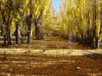 Hosteria Estancia Turistica La Serena