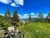 Pension Appartements Ronacherhof 3*