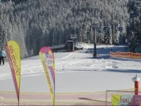 Ferienhaus Schwarzenbacher