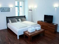 Apartment Palace Vienna