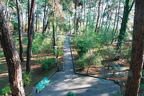 Отель тихая гавань пицунда фото Отель тихая гавань пицунда фото