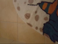 Ferienwohnung Mujcic