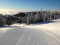 Almhutten Moselebauer