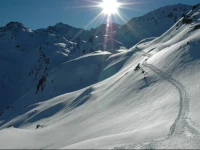 Ferienwohnung Schiestl