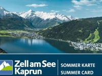 AlpenParks Parkhotel Zell am See 3*