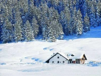 Park Hotel Avisio 3*