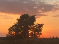 Pension Larchenbrunn