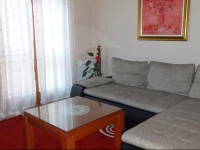 Apartments DRINA