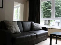 Bizzflats Baron d Hanis