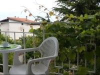 Guest House Velena