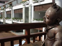 Turtle On The Beach 5*