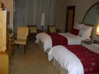 Renaissance Shanghai Pudong 5*