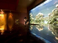 Pudi Boutique Shanghai 5*