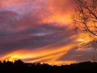 Simba Sunrise Bed & Breakfast