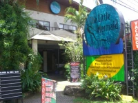 The Little Mermaid Resort 2*