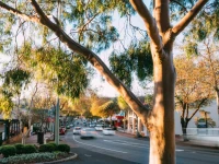 Margaret River Beach Studios