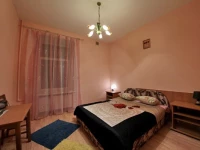 Mechta mini hotel St. Petersburg