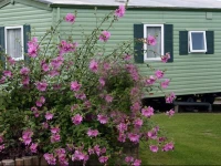 Flask Inn Holiday Home Park