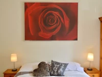 Holistic Condos - Brunswick Street