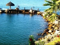 Departamento de Lujo Condominio Torre Marina