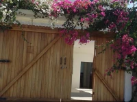 Salinas Departamento