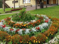 Sports Center ValgehobusemГ¤gi