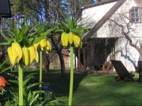 MГ¤nni Farm Holiday House